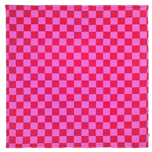 Load image into Gallery viewer, Speedy Pink Blanket / Large *PREORDER - BEGIN SHIPPING NOV 14 - 21*
