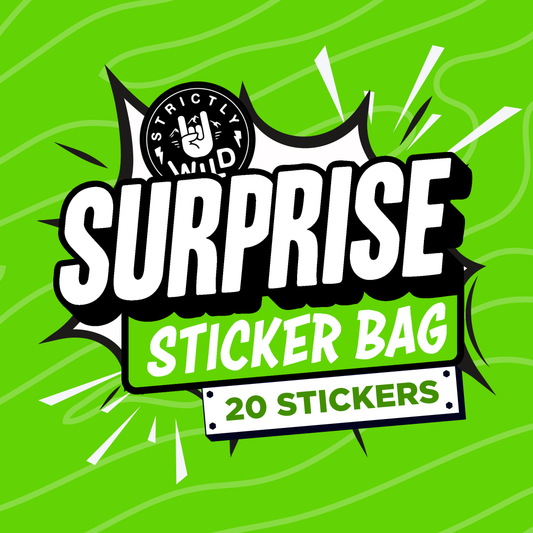 Surprise Sticker Bag